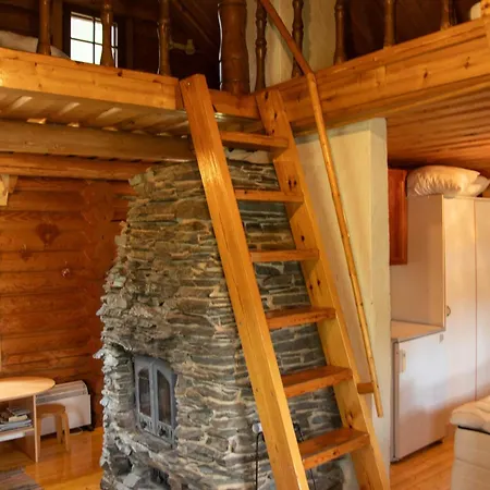 Kankijaerven Moekki *